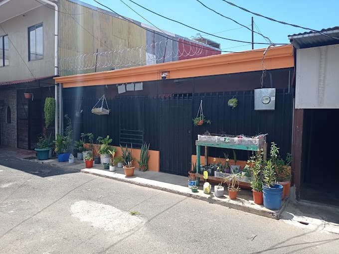 Imagen de Tienda
