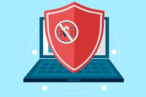 Imagen de Limpieza de Virus
